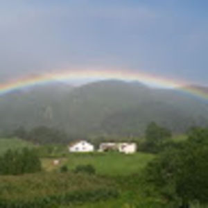 Meet your Posher, Celeste